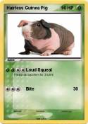 Hairless Guinea