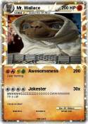Mr. Wallace