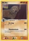 the dog