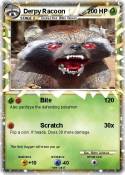 Derpy Racoon