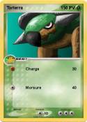 Torterra