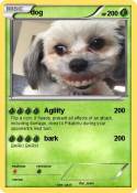 dog