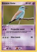 Eurasian Roller