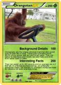 Orangutan