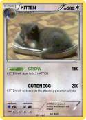 KITTEN