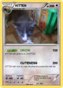 KITTEN