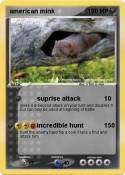 american mink