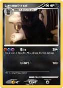 Lumana the cat