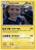 Carter turtle