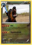 rex