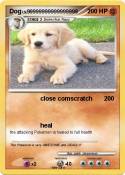 Dog