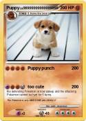 Puppy