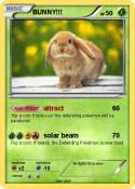 BUNNY!!!