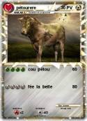 pétourere
