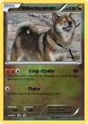 Shiba inu sesam