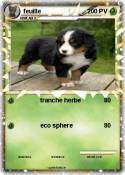 feuille