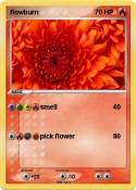 flowburn