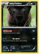 Baby Panther