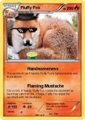 Fluffy Fox