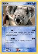 koala