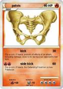 pelvis
