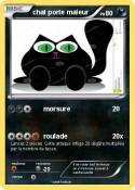 chat porte male