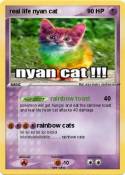 real life nyan