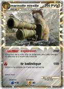 marmotte missil