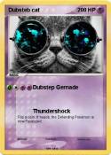 Dubsteb cat