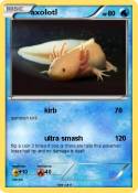axolotl