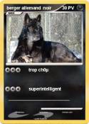 berger allemand