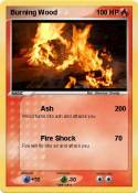 Burning Wood