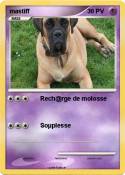 mastiff