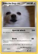 Gabe the Dog