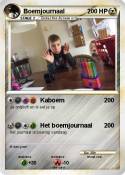 Boemjournaal