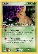 Lapin