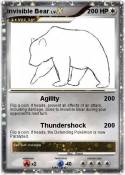 Invisible Bear