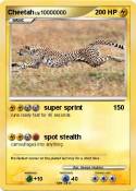 Cheetah