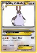 bIg ChUnGuS