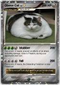 Obese Cat