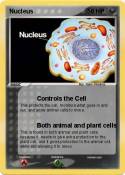 Nucleus