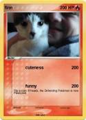 finn