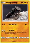Hormiga tortuga