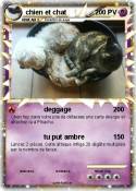 chien et chat