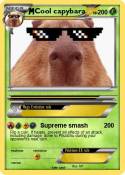 Cool capybara