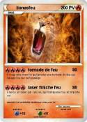 lionasfeu
