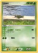 Lizard