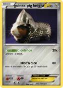 guinea pig knig