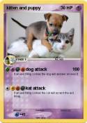 kitten and pupp