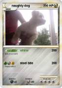 naughty dog
